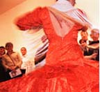 Flamenco Dancer