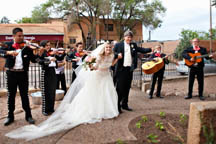 Mariachis